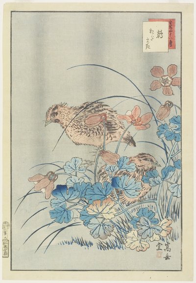 Two Quails in Bush, 1859 by Nakayama Sugakudo