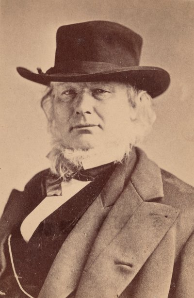 Portrait of Horace Greeley 1811-1872 by Napoleon Sarony