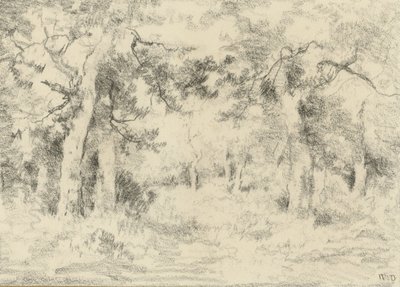 Forest Scene in Summer by Narcisse Virgile Diaz de la Peña