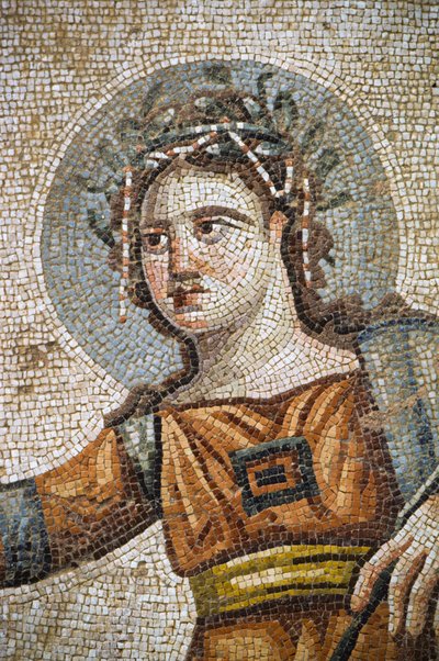 Roman mosaic in the villa House of Aion by Nathan Benn