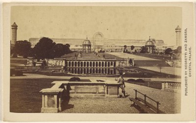 Exterior Long View of The Crystal Palace Building and Grounds by Negretti and Zambra