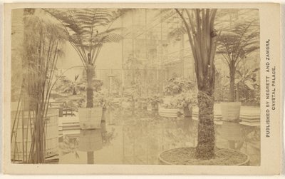 Trophies [Plant Growths, Interior at Crystal Palace] by Negretti and Zambra