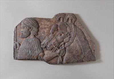 Foreign Groom in a Tributary Procession, c.721-05 B.C. by Neo Assyrian Neo Assyrian