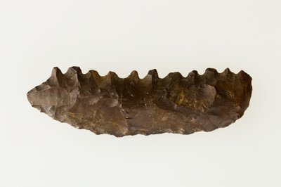 Bifacial sickle by Neolithic Neolithic