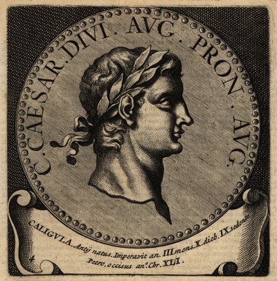 Portrait of Roman Emperor Caligula by Netherlandish School