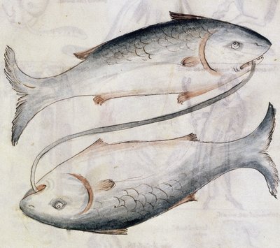 Drawing of Pisces, from a Translation of a Persian Astrological Treatise by Jafar ibn Muhammad by Netherlandish School