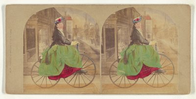 The Girl of the Period by New York Stereoscopic Company