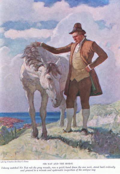 Sir Nat and the horse: Johnny watched Sir Nat rub the grey muzzle; stand back and proceed to a minute and systematic inspection by Newell Convers Wyeth