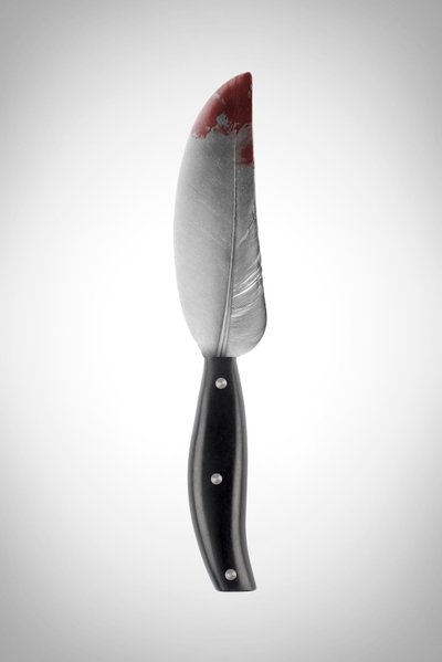 The Feather by Niccolò Fioriti