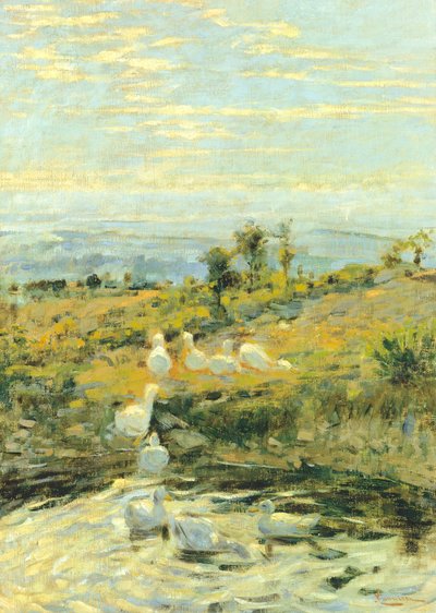 Ducks in the Morning by Niccolo Cannicci