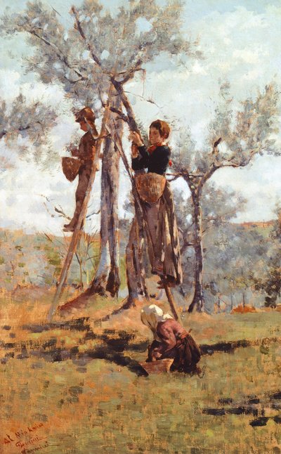The Olive Harvest by Niccolo Cannicci