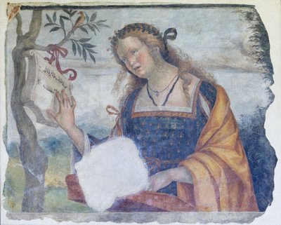Allegory of Music, c.1520-24 by Niccolo the Younger Giolfino