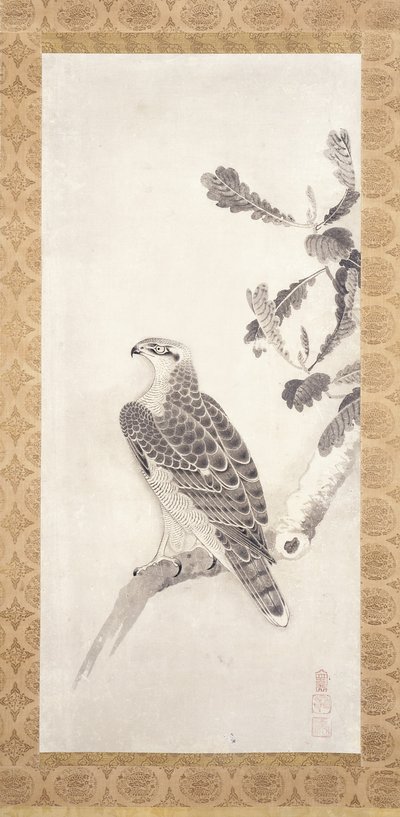 Hawk Perched On A Branch by Nichokuan Soga