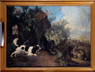 Two Dogs and a Rabbit by Nicholas Desportes
