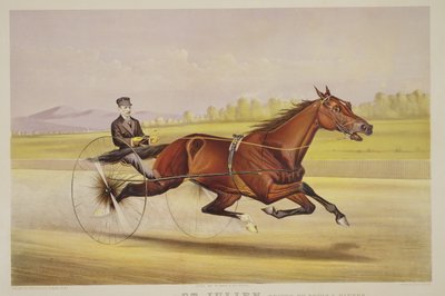 The King of the Turf, 