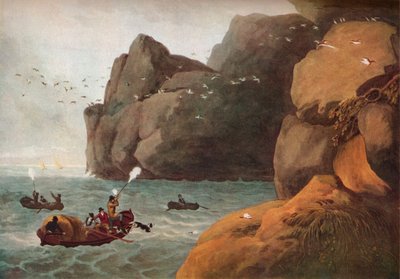 Puffin Shooting by Nichols and Merke