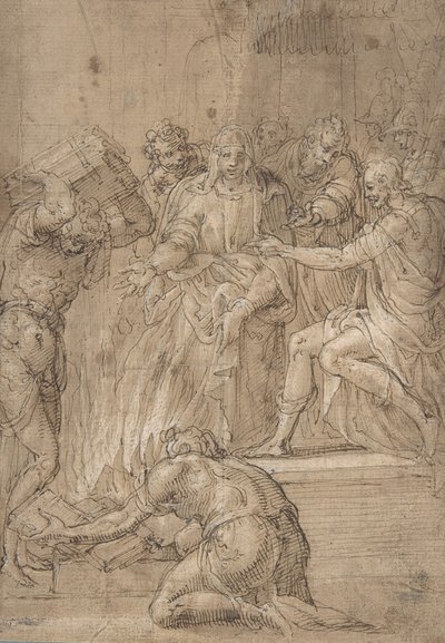 The Cumaean Sibyl Before Tarquin the Proud by Nicolò dell