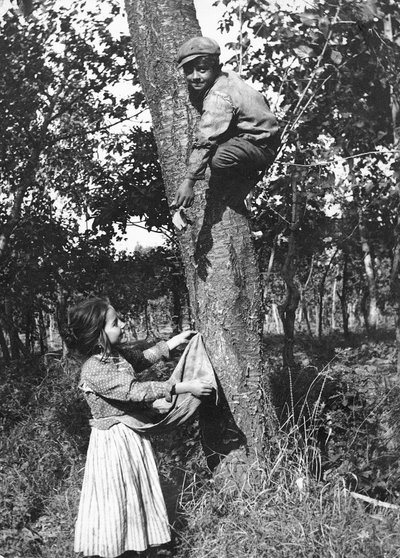 A Little Boy Up on a Fruit Tree Picking Fruits for a Little Girl, Molise by Nicola Biondi