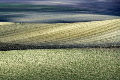 Rolling Field Patterns by Nicola Figliuolo