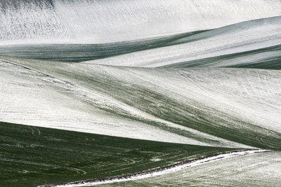 Winter Field Patterns by Nicola Figliuolo