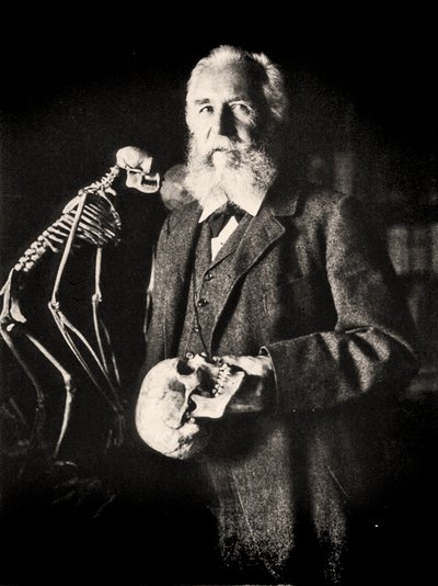 Portrait of Ernst Haeckel next to the skeleton of a monkey, c.1860 by Nicola Perscheid
