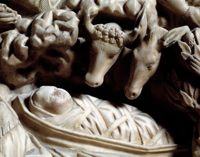 Art and Gothic architecture: the nativity (detail) by Nicola Pisano