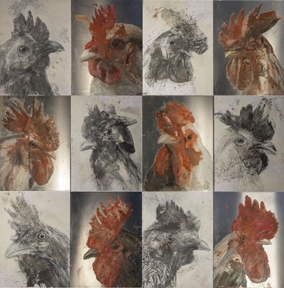 Grill roosters by Nicola Pucci