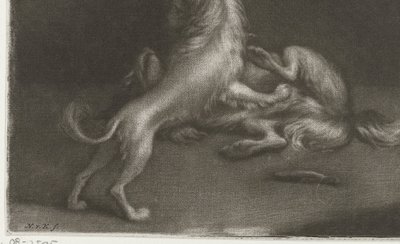 Two Playing Dogs by Nicolaas Verkolje