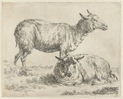 Standing and Lying Sheep by Nicolaes Pietersz Berchem