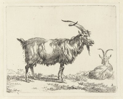 Two Goats Goats (series title) Animalia ad vivum delineata et aqua forti aeri impressa Studio et Arte Nicolai Berchemi (series title) by Nicolaes Pietersz Berchem