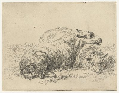 Two Lying Sheep by Nicolaes Pietersz Berchem