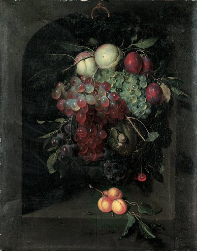 Swag of Grapes, Peaches, Plums and Cherries with a Snail in a Stone Niche with a Bunch of Apricots and Bee on a Ledge by Nicolaes Van Gelder