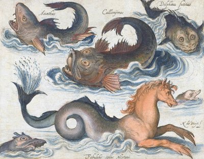 Seahorse and imaginary aquatic creatures by Nicolaes de (after) Bruyn