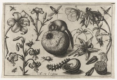 Flowers and a Mouse on an Apple (Birds, Flowers, Insects, etc.) by Nicolaes de Bruyn (possibly)
