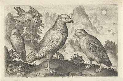 Eagle and Other Birds of Prey by Nicolaes de Bruyn