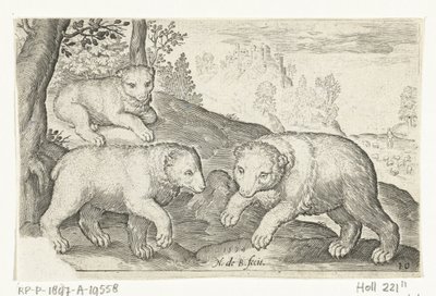 Three Bears by Nicolaes de Bruyn