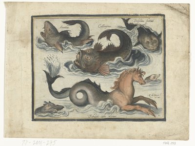 Fantastic Water Creatures, Including Seahorse by Nicolaes de Bruyn
