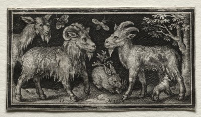Goats and Hare by Nicolaes de Bruyn