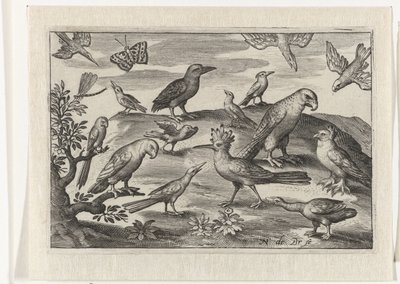 Hoopoe and Other Birds (Birds and Insects series) by Nicolaes de Bruyn