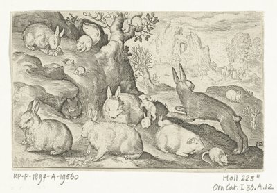 Rabbits, Squirrel, Guinea Pig, and Mouse (Series: Animalivm Qvadrvpedvm, Animals in Landscapes) by Nicolaes de Bruyn