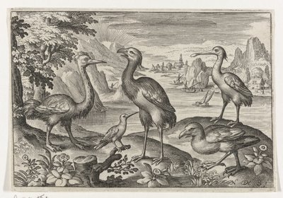 Crowned Crane Between Two Ostriches by Nicolaes de Bruyn