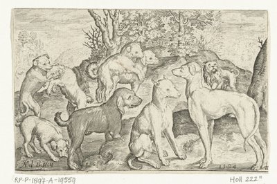 Nine Dogs by Nicolaes de Bruyn