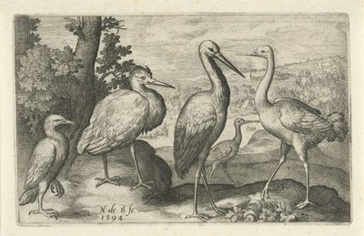 Stork, Crane, Heron, and Spoonbill by Nicolaes de Bruyn