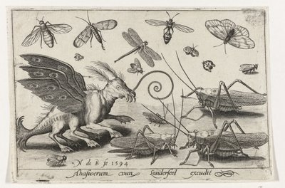 Grasshoppers and Fantasy Creature with Wings and Webbed Feet, Birds and Insects (series title) by Nicolaes de Bruyn