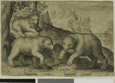 Three Bears, plate ten from Four-Legged Animals by Nicolaes de Bruyn