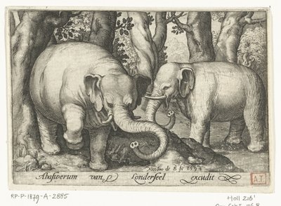 Two Elephants by Nicolaes de Bruyn