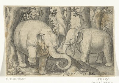 Two Elephants by Nicolaes de Bruyn