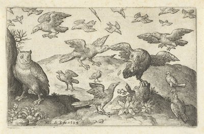Owl with Prey Attacked by Other Birds by Nicolaes de Bruyn