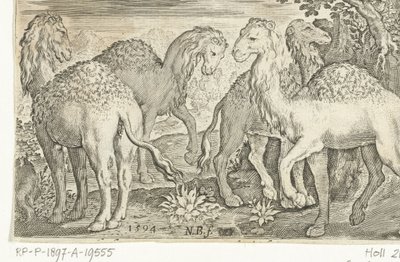 Four Dromedaries, Animalivm qvadrvpedvm (series title), Animals in Landscapes (series title) by Nicolaes de Bruyn