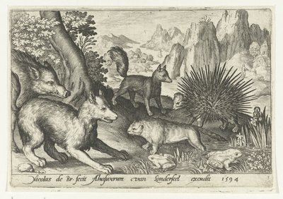 Wild Boar, Foxes, Beaver, Porcupine, and Frogs (Animalivm qvadrvpedvm series) (Animals in Landscapes series) by Nicolaes de Bruyn